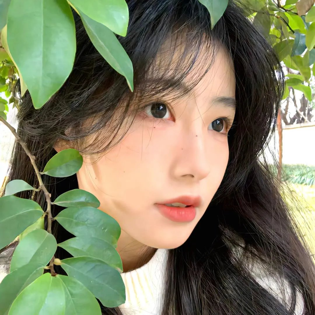 不能错过的只有你